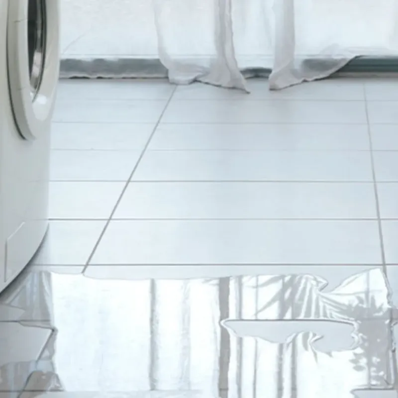Appliance Leak Cleanup in Williston, FL
