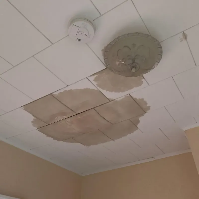 Ceiling Water Damage Repair in Williston, FL